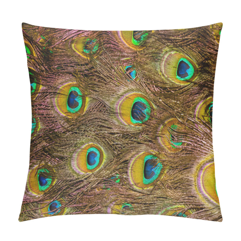 Personality  Peacock Feather Macro Pillow Covers