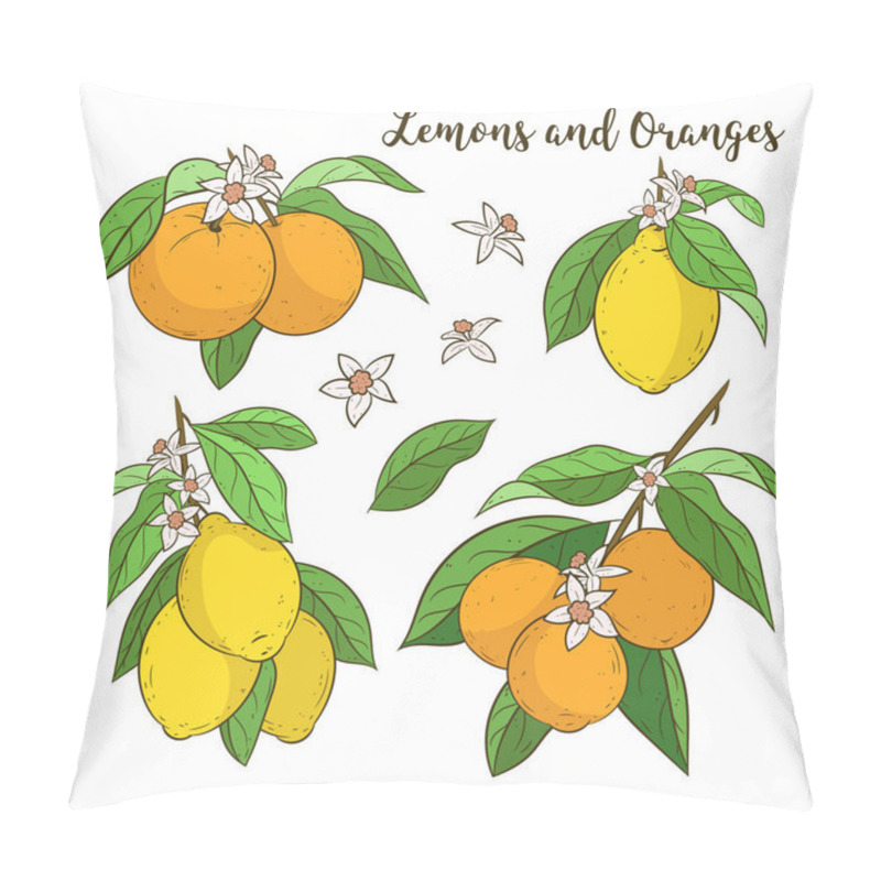 Personality  Orange/lemon Tree Branches Vector Set Pillow Covers