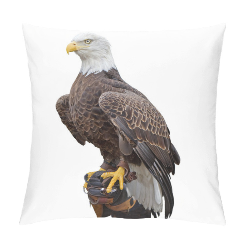 Personality  American Bald Eagle Pillow Covers