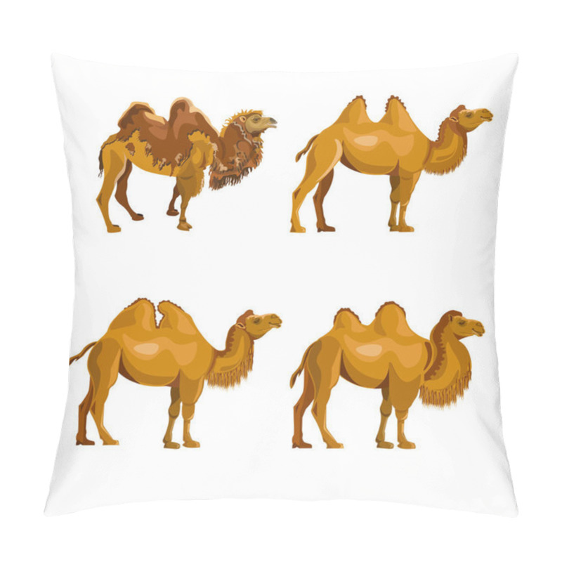 Personality  Collection Of Bactrian Camels. Vector Illustration Isolated On A White Background Pillow Covers