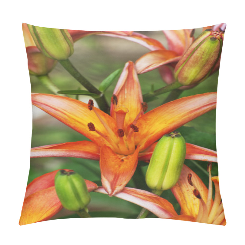 Personality  Orange Lily Flowers Pillow Covers