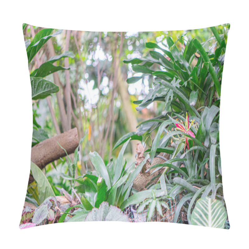 Personality  An Image Of A Lush, Diverse Assortment Of Tropical Plants And Flowers In A Well-maintained Greenhouse Or Botanical Garden Setting The Scene Features Various Shades And Shapes Of Leaves, Slender Curl Pillow Covers