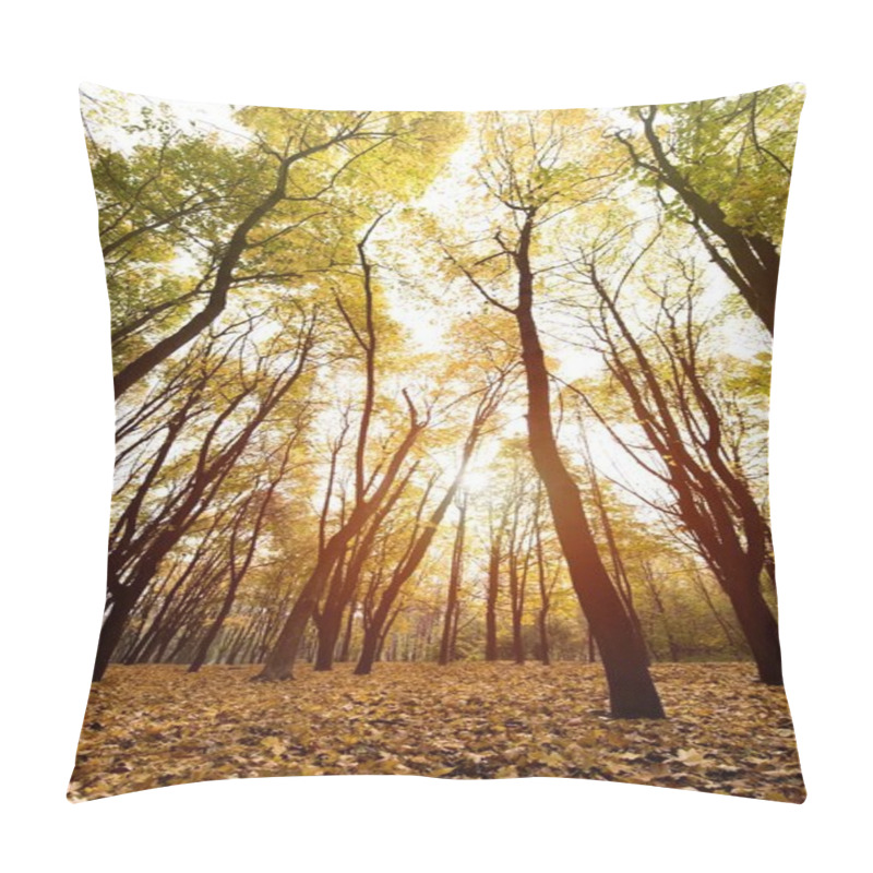 Personality  Autumn Forest On Sunny Day Pillow Covers