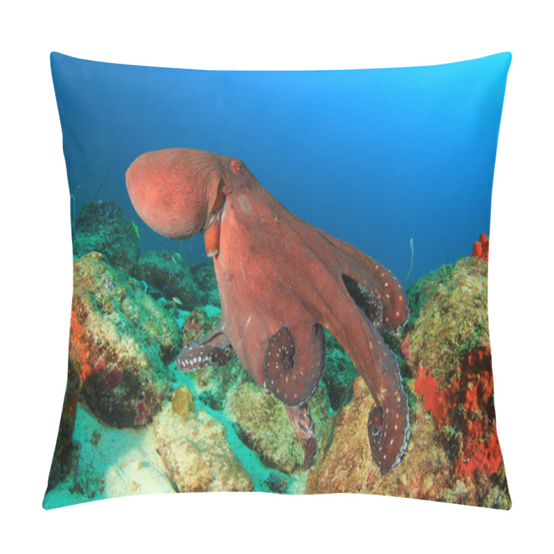 Personality  Octopus In The Depth Of The Ocean Pillow Covers