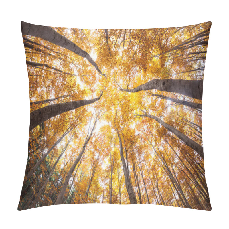 Personality  Autumn Forest Treetops Pillow Covers