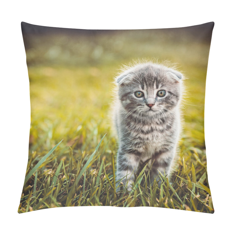 Personality  Gray Cat Walking On Green Grass Pillow Covers