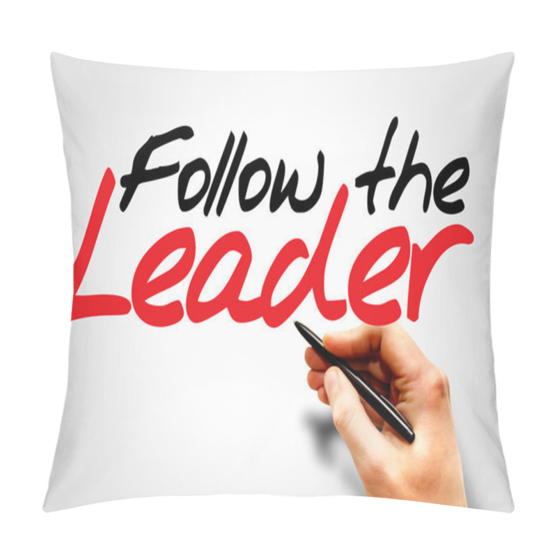 Personality  Follow The Leader Pillow Covers