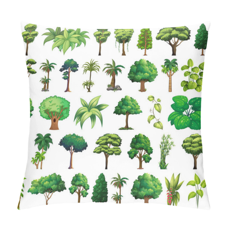 Personality  Set Of Variety Plants And Trees Illustration Pillow Covers