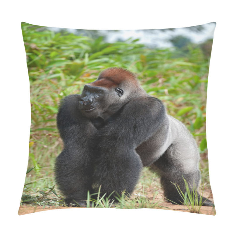 Personality  Silverback - Adult Male Of A Gorilla Pillow Covers