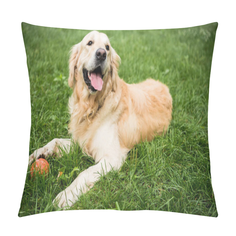 Personality  Adorable Golden Retriever Dog Lying On Green Lawn In Park Pillow Covers