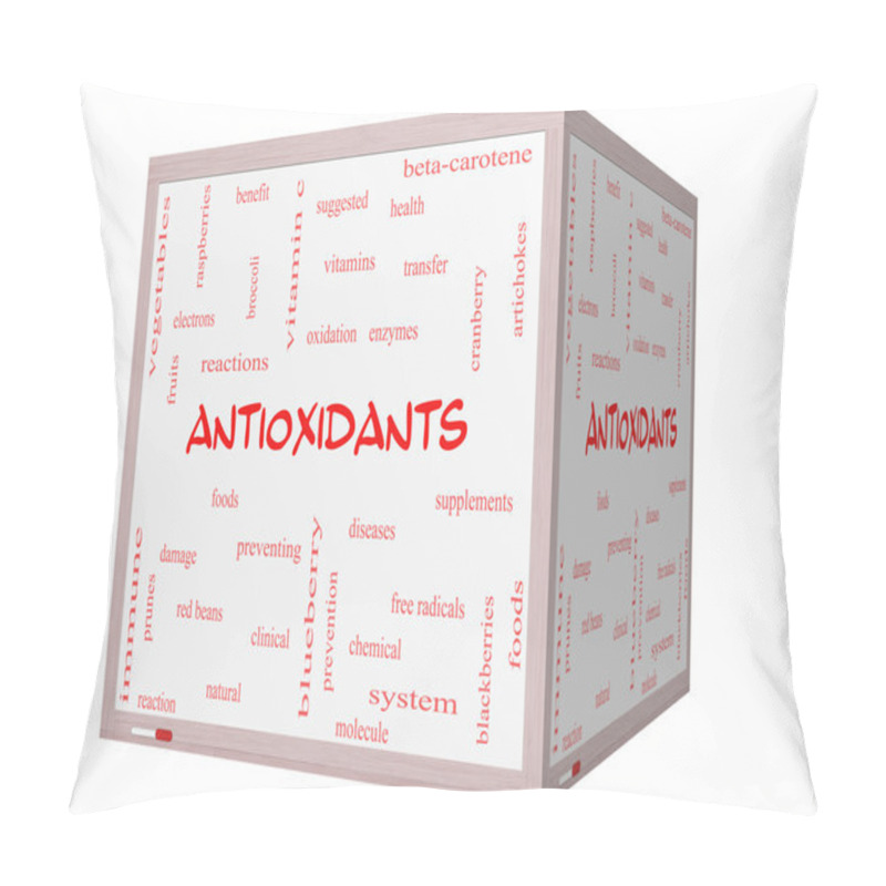 Personality  Antioxidants Word Cloud Concept On A 3D Cube Whiteboard Pillow Covers