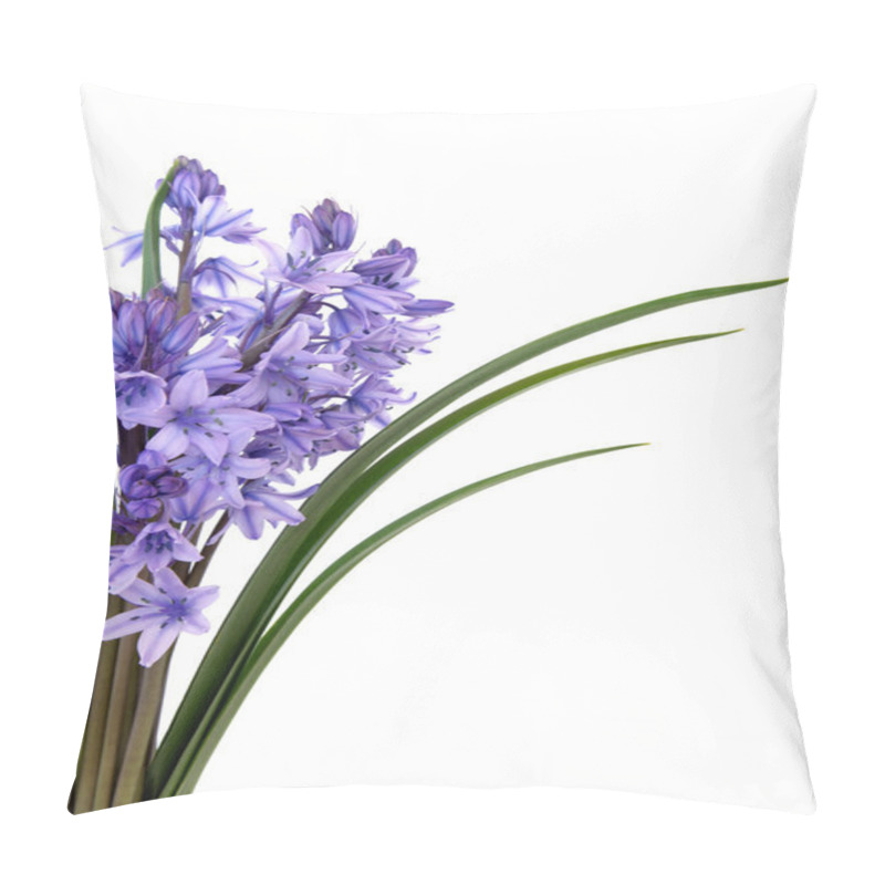 Personality  Bluebell Flower Beauty Pillow Covers