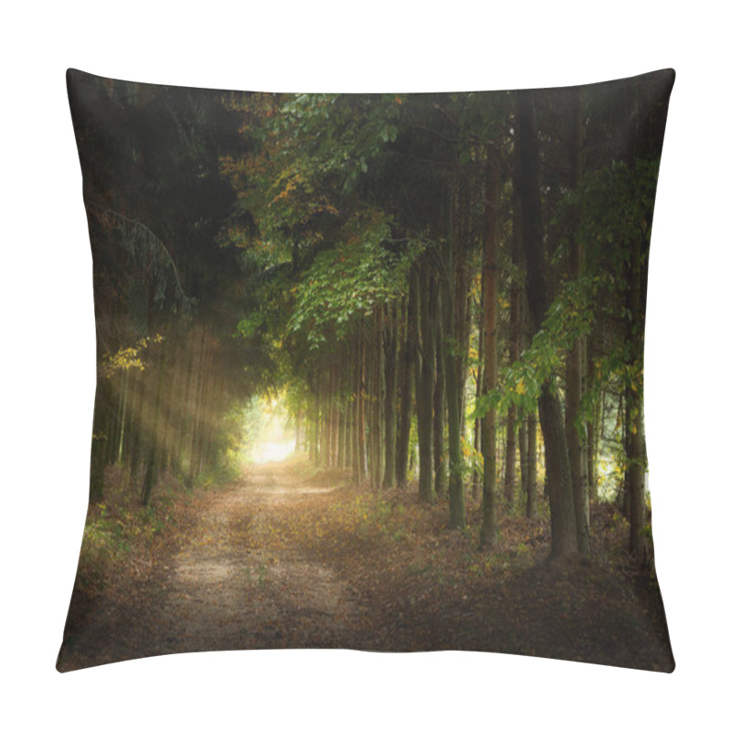 Personality  Trail Through The Pine Forest At Dawn Pillow Covers