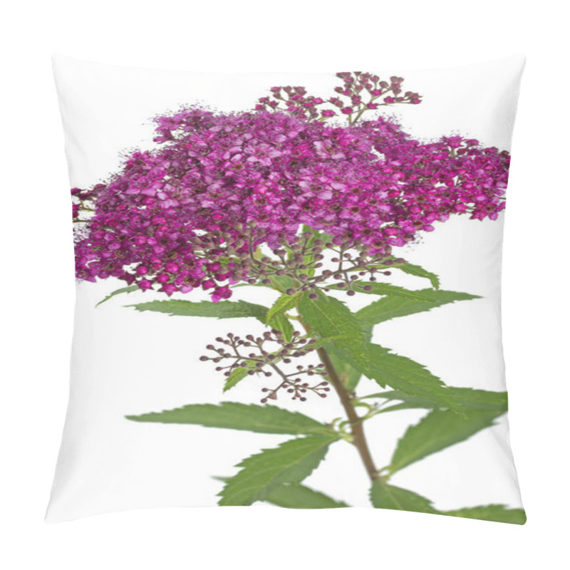 Personality  Meadowsweet (Spiraea Japonica) Flower Pillow Covers