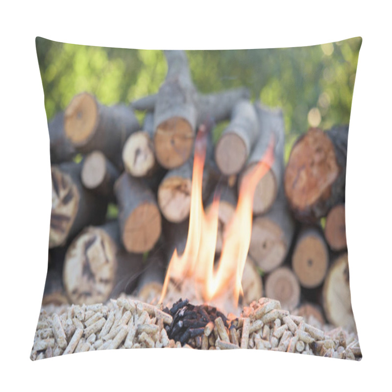 Personality  Biomass In Flames Pillow Covers