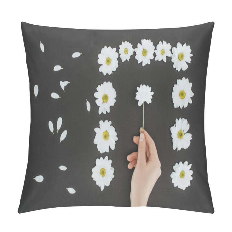 Personality  Top View Of Cropped Female Hand With Frame Of Daisies Over Black Background Pillow Covers