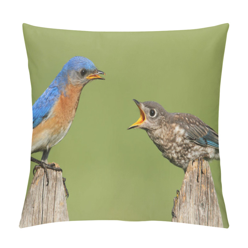 Personality  Eastern Bluebird (Sialia Sialis) With A Baby On A Fence Pillow Covers