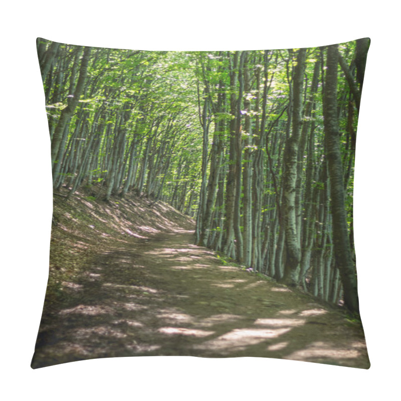 Personality  Tranquil Scene Of A Dirt Road Winding Through A Beech Forest On A Sunny Summer Day In The Carpathian Mountains, Showcasing Nature's Beauty Pillow Covers