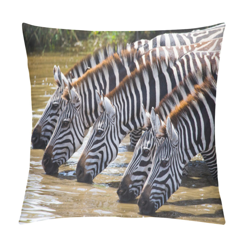 Personality  Zebras Herd  Drinking Water Pillow Covers