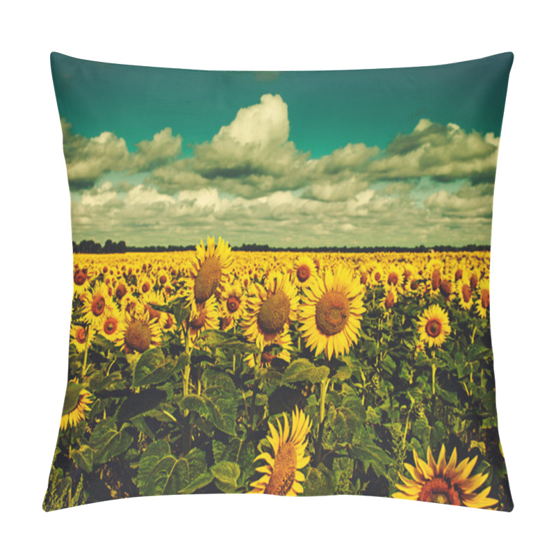 Personality  Sunflowers Under The Blue Sky Pillow Covers