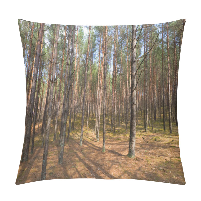 Personality  Spring Forest Pillow Covers