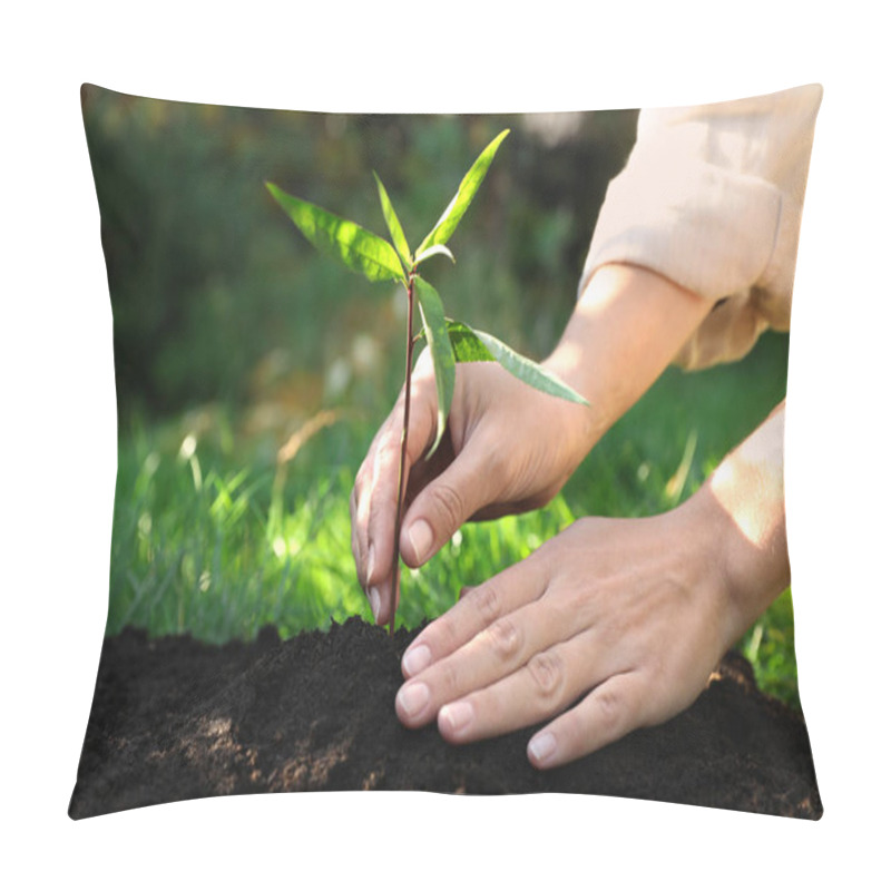 Personality  Woman Planting Young Tree In Garden, Closeup Pillow Covers