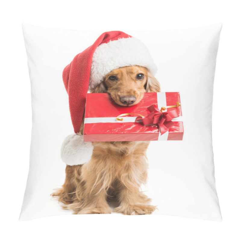 Personality  Dog In Santa Hat With A Gift Mouth Pillow Covers