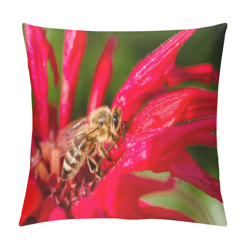 Personality  Honeybee Pillow Covers