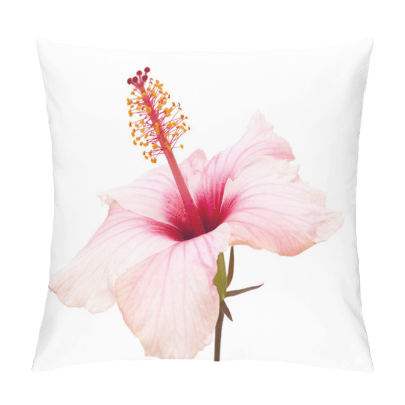 Personality  Gentle Pink Hibiscus Pillow Covers