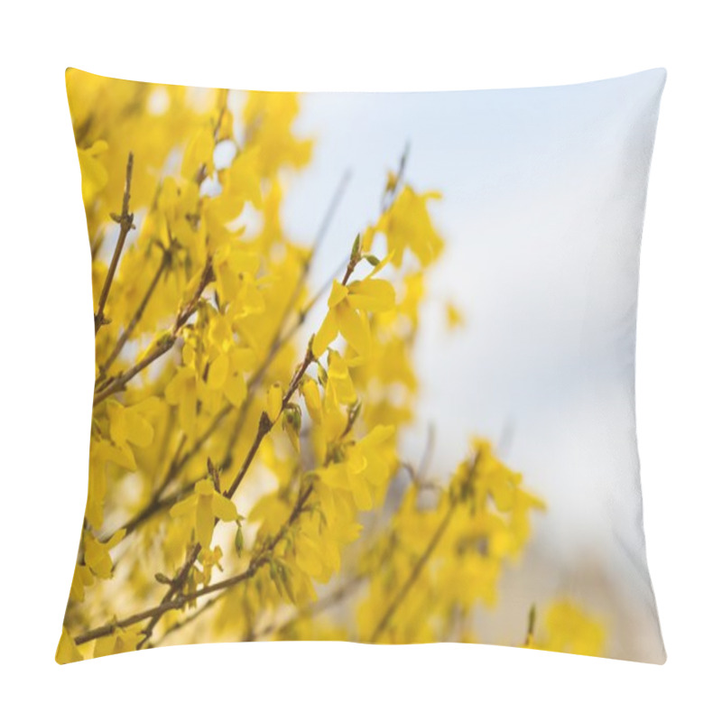 Personality  Blooming Forsythia Bush Pillow Covers