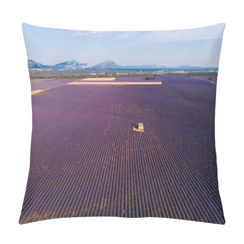 Personality  Aerial View Of Lonely Farm On Beautiful Blooming Lavender Field In Provence, France  Pillow Covers