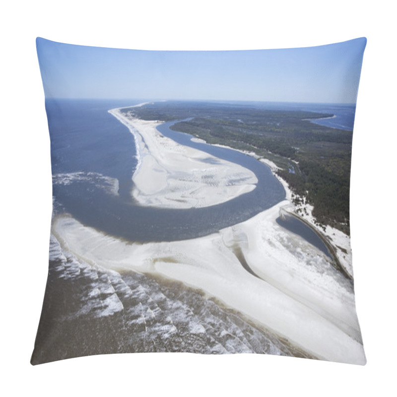 Personality  Cumberland Island. Pillow Covers