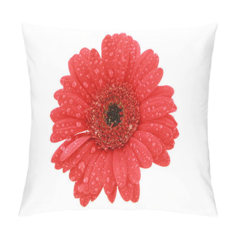 Personality  Red Gerbera With Waterdrops Pillow Covers