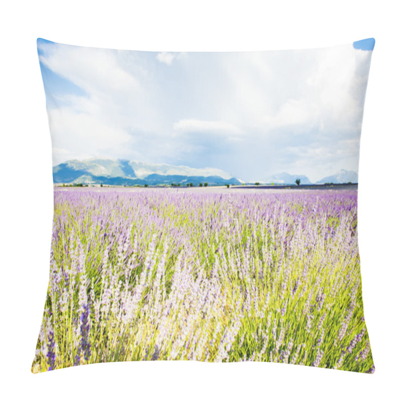 Personality  Lavender Field, Plateau De Valensole, Provence, France Pillow Covers