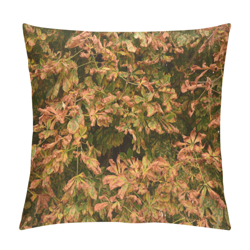 Personality  Leaves Of Sick Horse Chestnut, Infected With The Bacterial Canker Epidemic. Pillow Covers