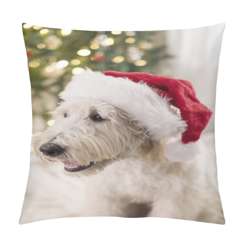 Personality  Close Up Of Dog Wearing Santa Claus Hat In Front Of Christmas Tree Pillow Covers