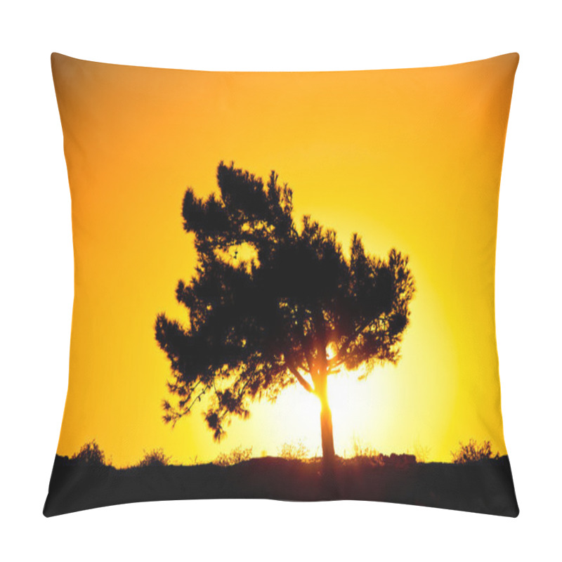 Personality  Silhouette Of A Tree In The Rays Of The Rising Sun Pillow Covers