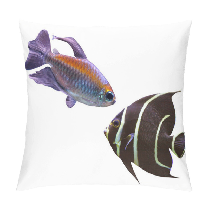 Personality  Different Fish Pillow Covers