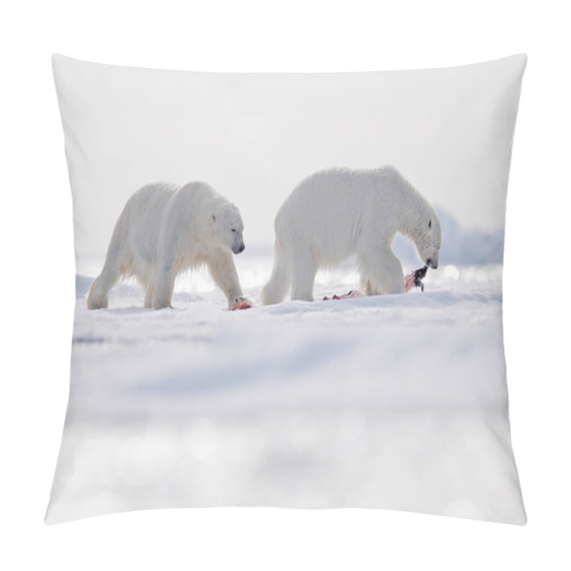 Personality  Two Polar Bears With Killed Seal. White Bear Feeding On Drift Ice With Snow, Svalbard, Norway. Bloody Nature With Big Animals. Dangerous Animal With Carcass Of Seal. Arctic Wildlife, Animal Feeding Behaviour.  Pillow Covers