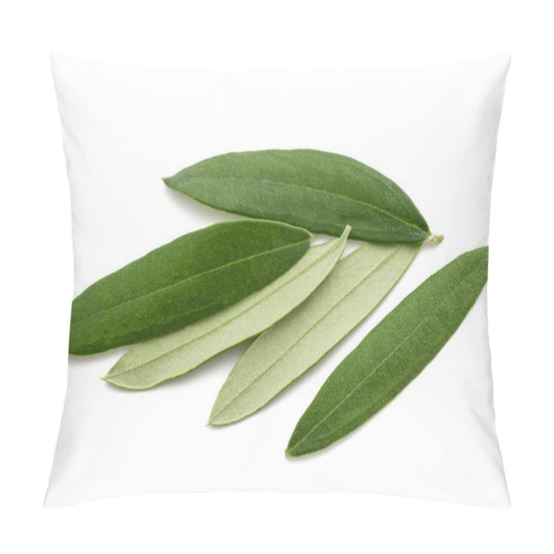 Personality  Fresh Olive Leaves Pillow Covers