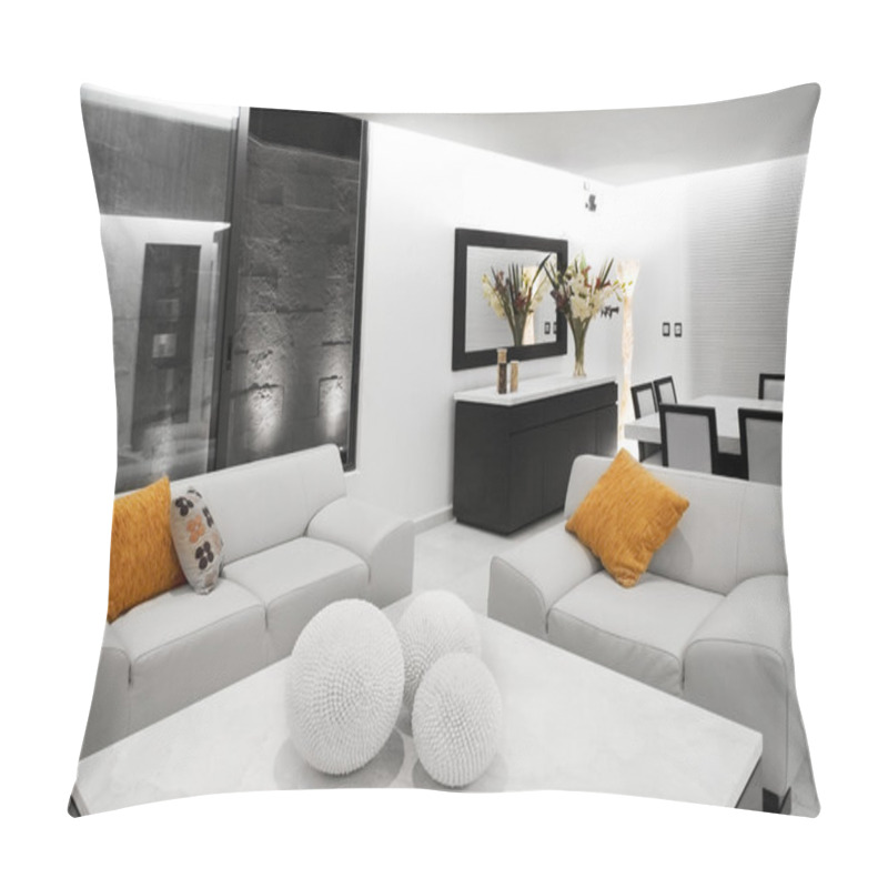 Personality  Living Room Pillow Covers