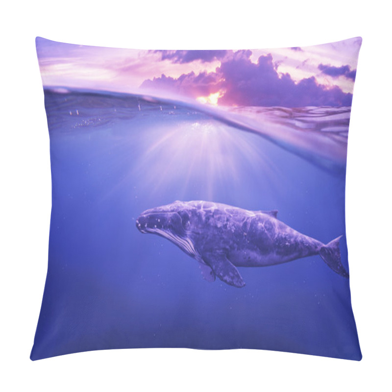 Personality  Big Grey Whale In Ocean Pillow Covers