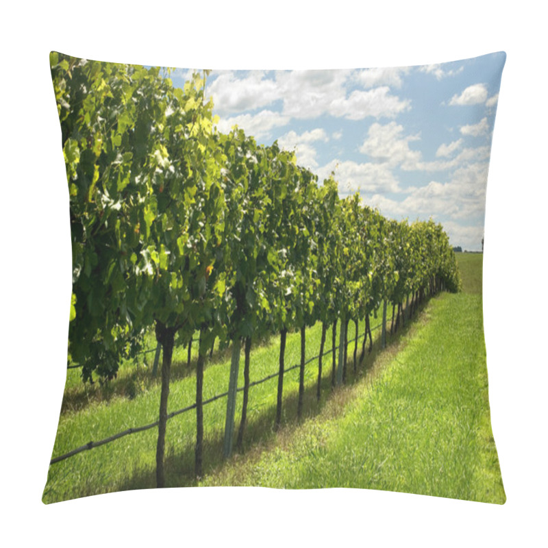 Personality  Rows Of Grapevines Growing In A Vineyard Pillow Covers