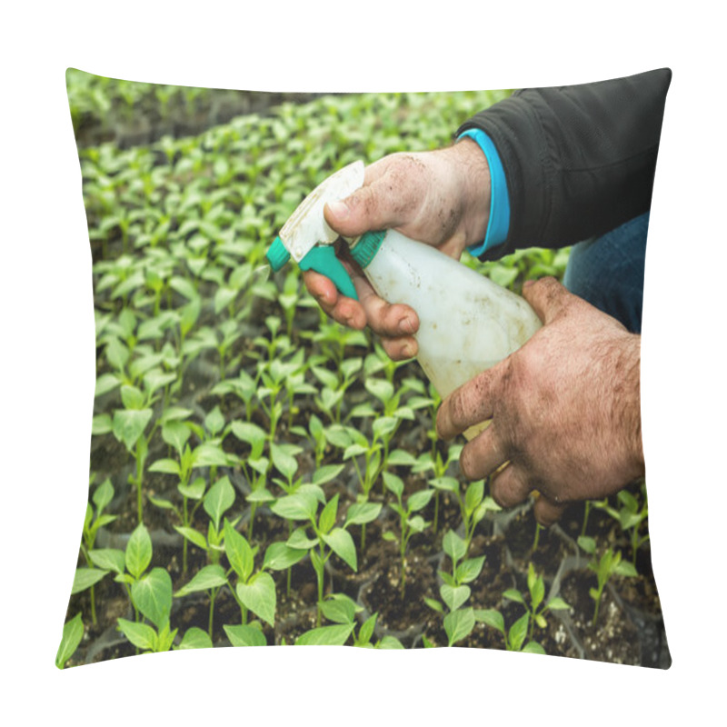 Personality  Close Up In The Hands Of A Man While Spraying The Small Plants I Pillow Covers