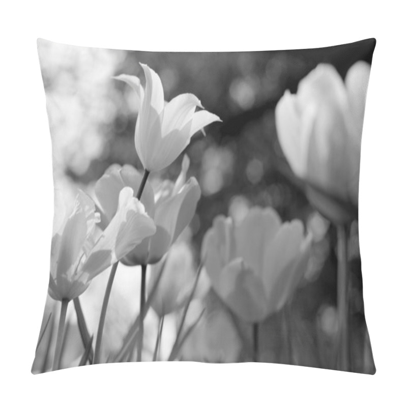 Personality  Spring Tulips In The Park, Black And White Pillow Covers