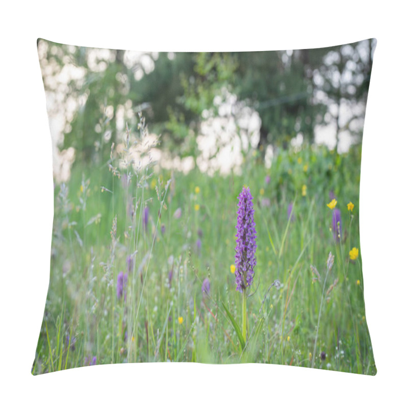 Personality  Close-up Of Purple Orchid, Dactylorhiza Incarnata. Purple Early Marsh - Orchid Blossom, Dactylorhiza Incarnata. Blooming Flower In A Natural Environment. Pillow Covers