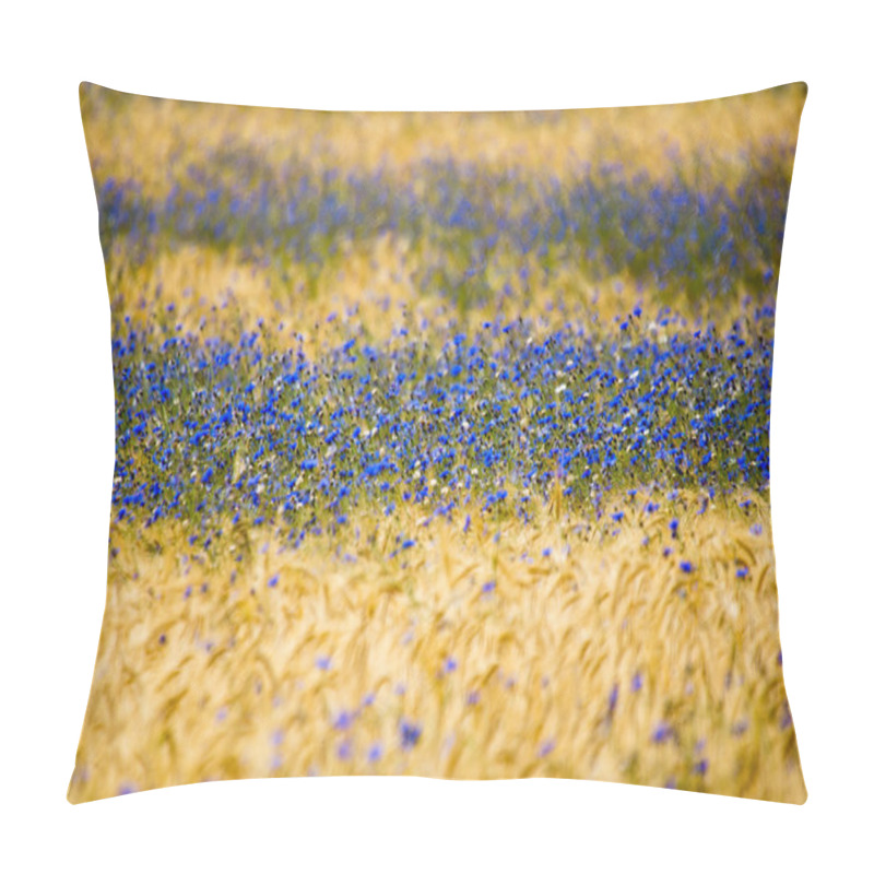 Personality  Cornflowers Pillow Covers