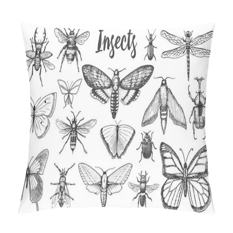 Personality  Different Insects Set. Butterfly And Dragonfly, Bug And Pet Bee. Mystical Symbol Of Freedom. Entomological Collection. Engraved Hand Drawn In Old Sketch Vintage Style. T-shirt Or Scrapbooking Design. Pillow Covers