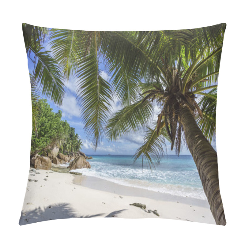 Personality  Palm Trees On Paradise Beach At Anse Patates, La Digue, Seychell Pillow Covers