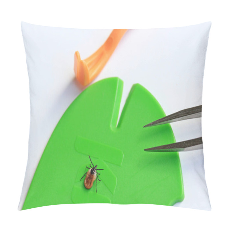 Personality  Correct And Quick Removal Of A Tick With A Tick Hook, Tweezers Or Tick Card Pillow Covers